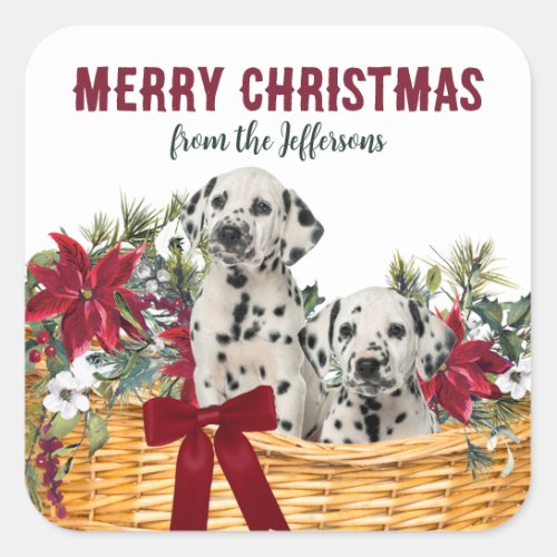 Poinsettia Dalmatian Puppies Christmas Basket Square Sticker