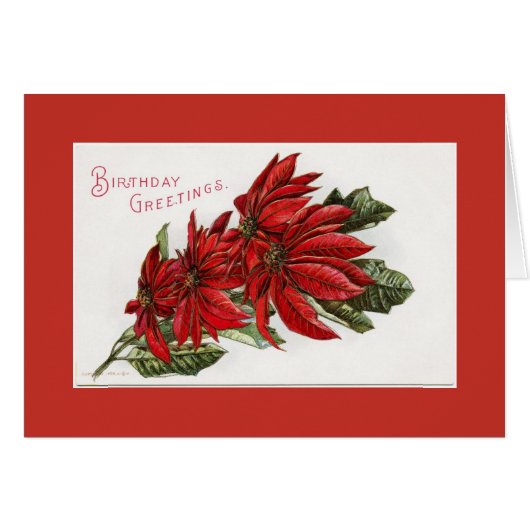 Poinsettia December Birthday Greeting Card (Front Horizontal)