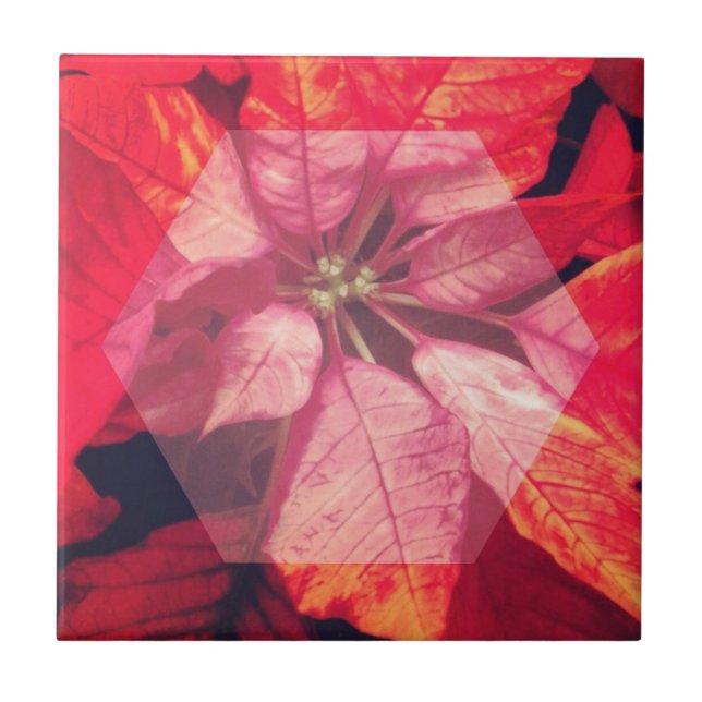 Poinsettia Digital Art Ceramic Tile (Front)