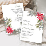 Poinsettia