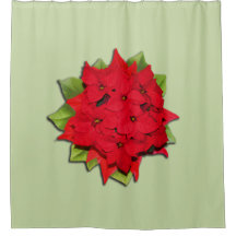 Poinsettia Flower for the Holidays