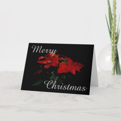 Poinsettia Flower Merry Christmas Family Message Holiday Card