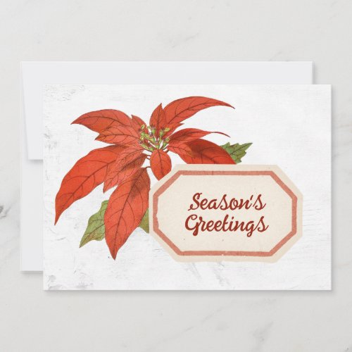 Poinsettia Flower Seasons Greetings Christmas Red Holiday Card