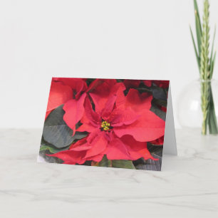 Poinsettia Greeting Card