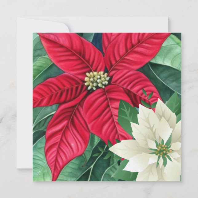 Poinsettia Greeting Card (Front)