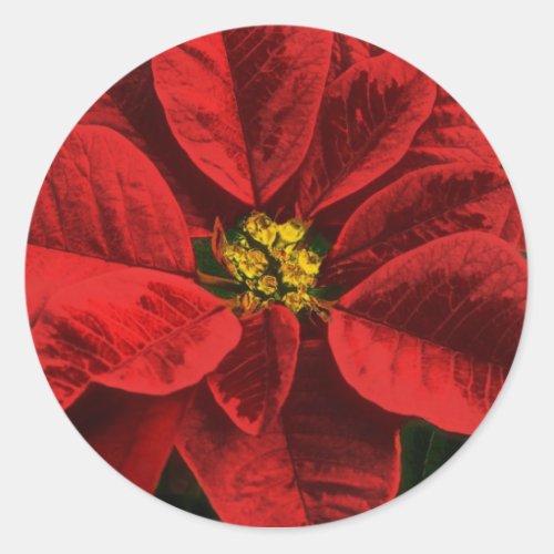 Poinsettia Holiday Envelope Seal Stickers