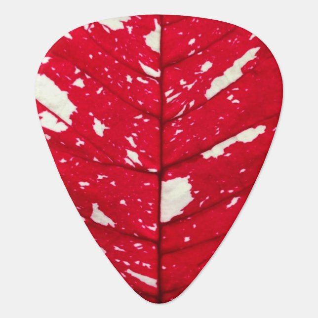Poinsettia Leaf Guitar Picks (Front)