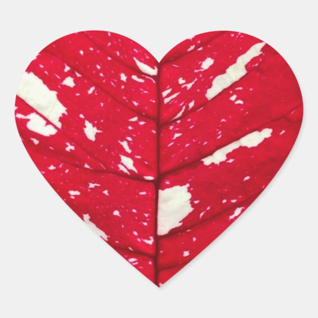 Poinsettia Leaf Texture Heart Stickers (Front)