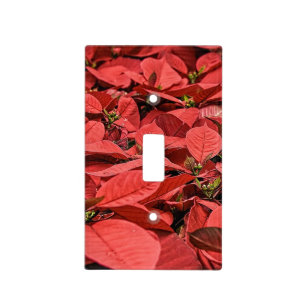 Poinsettia Light Switch Cover