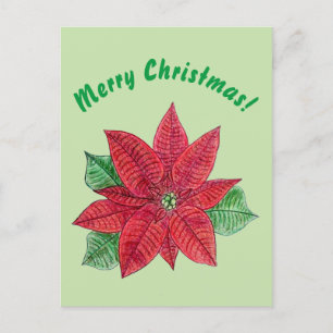 Poinsettia - Merry Christmas Postcard - Mint