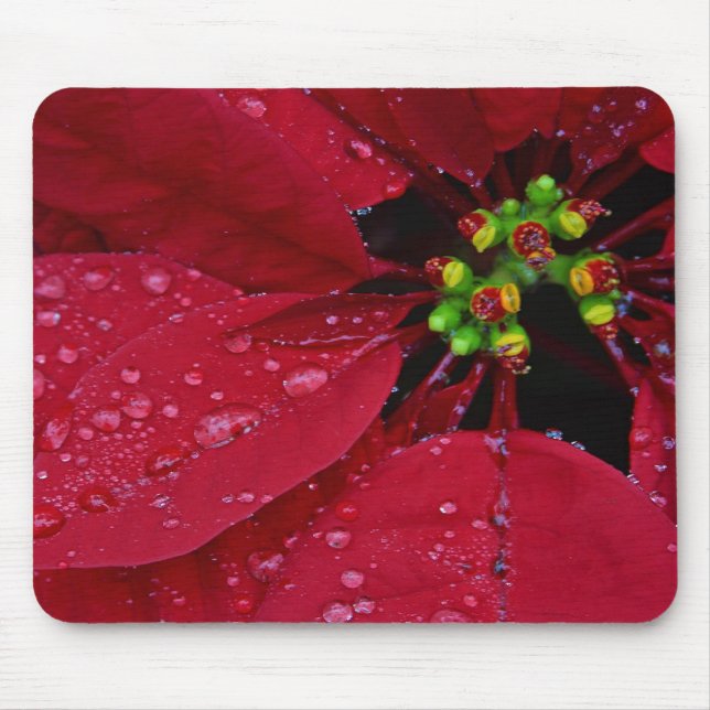 Poinsettia Mouse Pad (Front)