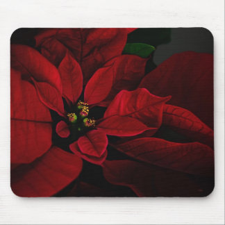 Poinsettia Mousepad