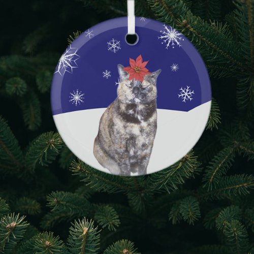 Poinsettia on Tortoiseshell Cat with Snowy Hills   Glass Ornament