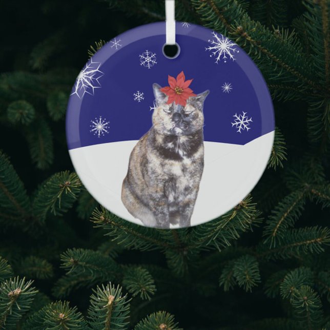 Poinsettia on Tortoiseshell Cat with Snowy Hills   Glass Ornament (Creator Uploaded)