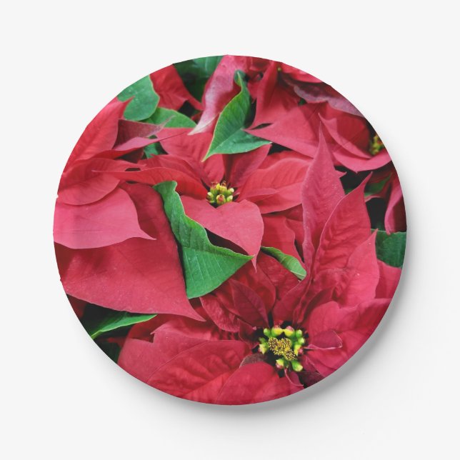 Poinsettia Paper Plates (Front)