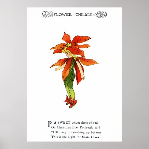 Poinsettia Poster