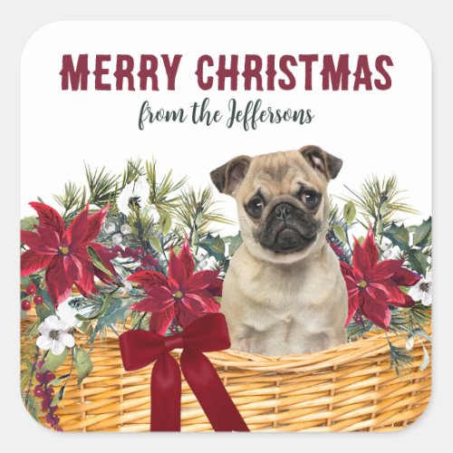 Poinsettia Pug Dog Christmas Basket Square Sticker