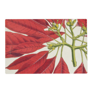Poinsettia Pulcherrima (colour litho) Placemat