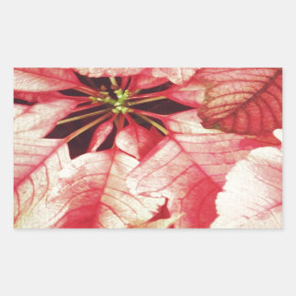 Poinsettia Rectangular Sticker