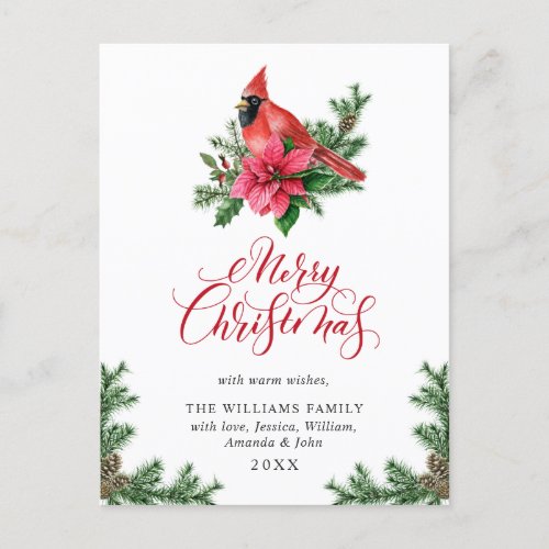 Poinsettia Red Cardinal Christmas Greeting Holiday Postcard