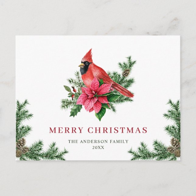 Poinsettia Red Cardinal Christmas Greeting Holiday Postcard (Front)