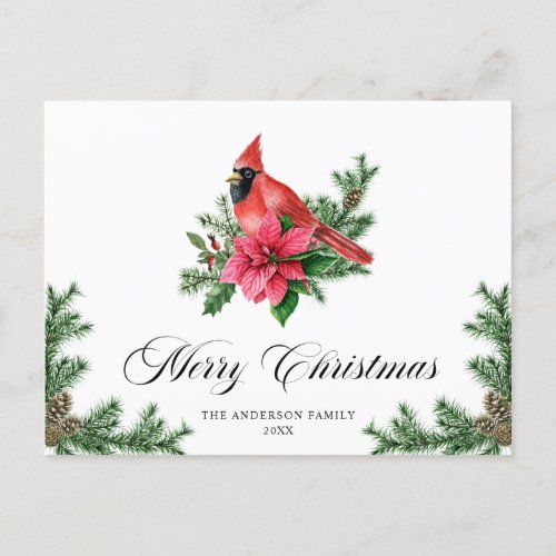 Poinsettia Red Cardinal Christmas Greeting Holiday Postcard