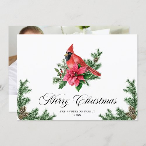 Poinsettia Red Cardinal Christmas Greeting PHOTO Holiday Card