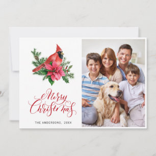 Poinsettia Red Cardinal Christmas Greeting PHOTO Holiday Card