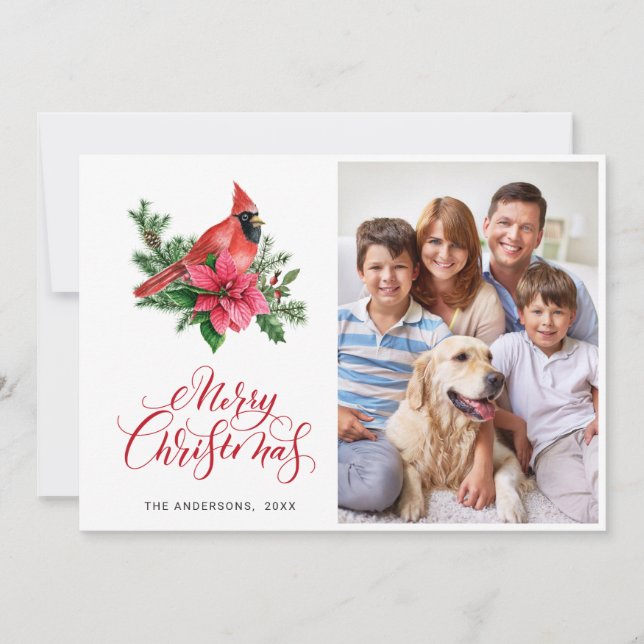 Poinsettia Red Cardinal Christmas Greeting PHOTO Holiday Card (Front)