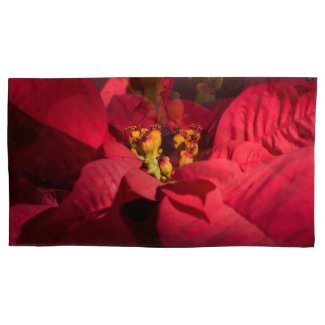 Poinsettia red Christmas flower