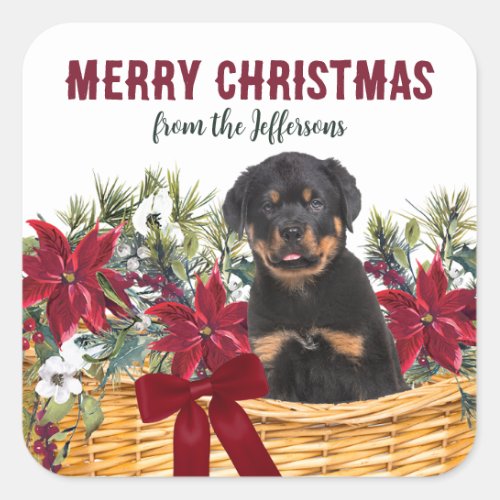 Poinsettia Rottweiler Dog Christmas Basket Square Sticker