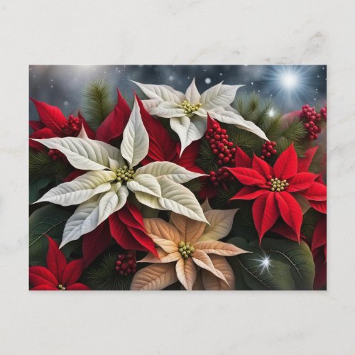 Poinsettia Seasons Greetings   Holiday Postcard
