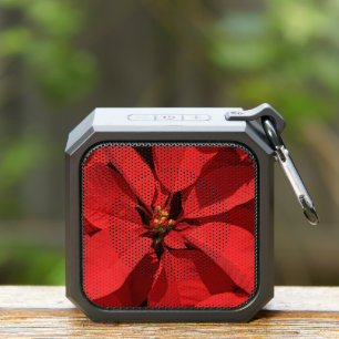 Poinsettia Speaker for the Holiday Season