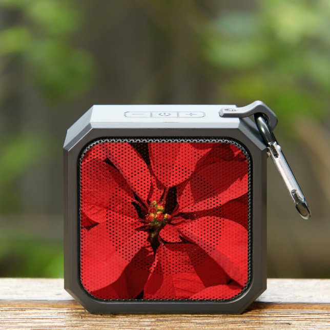 Poinsettia Speaker for the Holiday Season (Insitu(Outdoor))