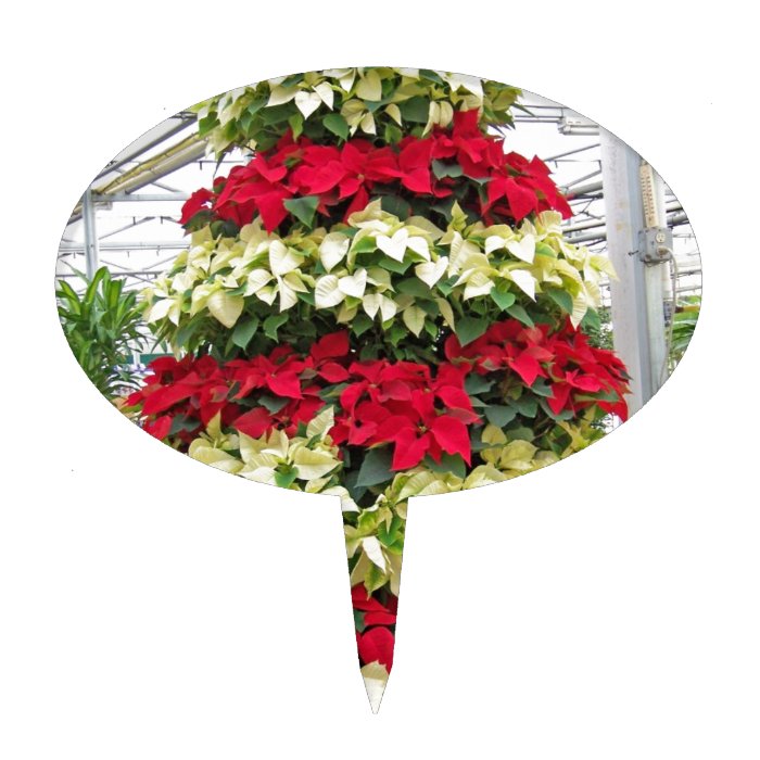 Poinsettia Tree Cake Pick