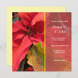 Poinsettia Wedding Invitation