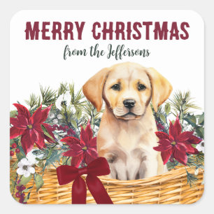 Poinsettia Yellow Labrador Retriever Basket Square Sticker