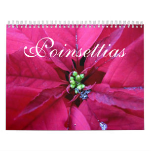 Poinsettias Calendar
