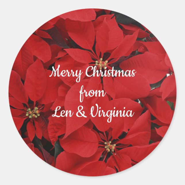 Poinsettias for Christmas, ready to customize Classic Round Sticker (Front)