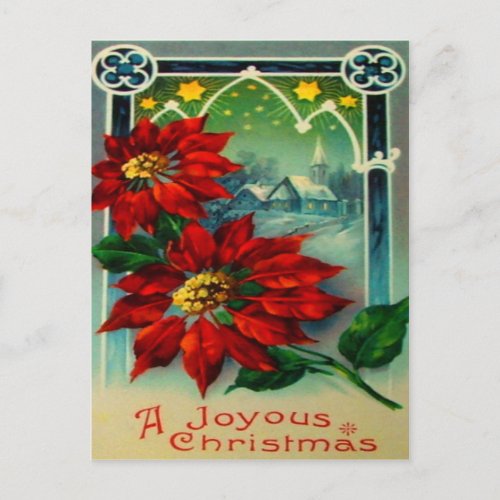 Poinsettias Postcard