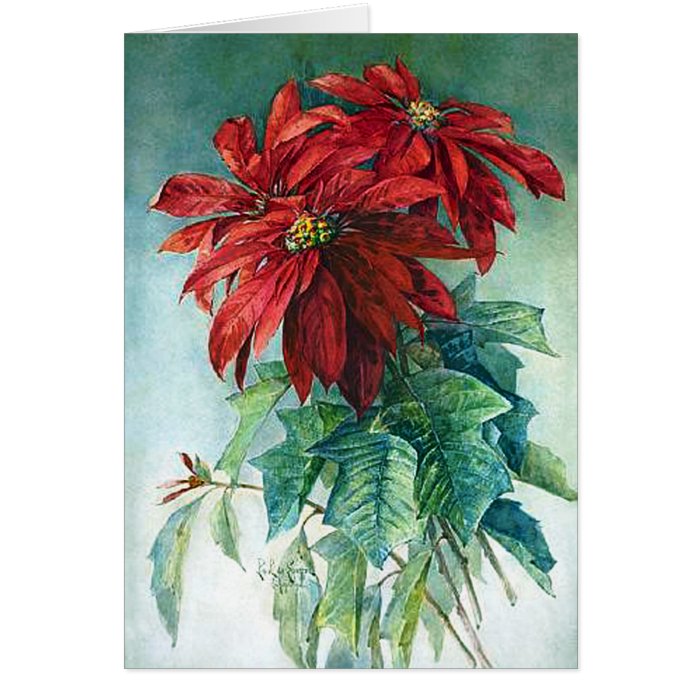 Poinsettias Watercolor Fine Art Greeting Card | Zazzle