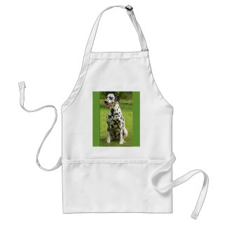 point adult apron