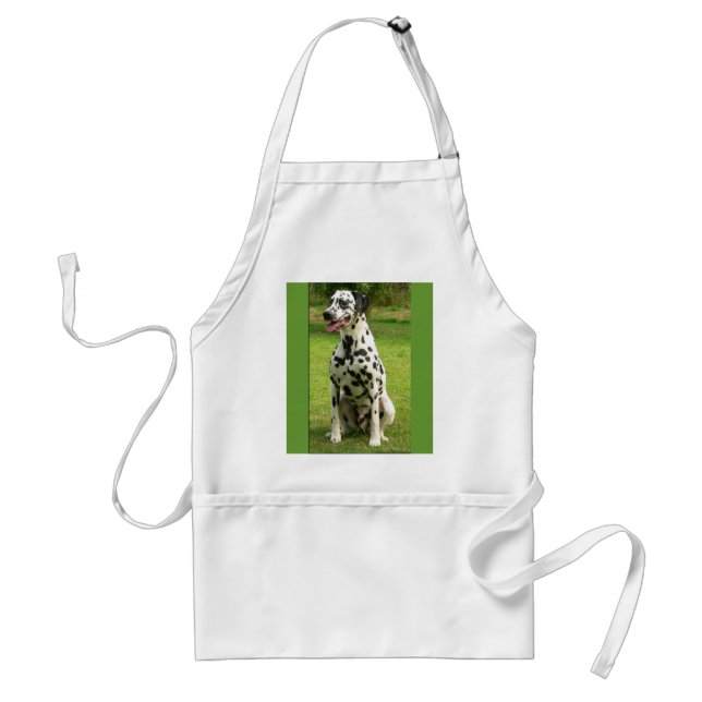 point adult apron (Front)