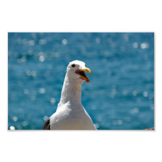 Point Dume Photo Print (Front)