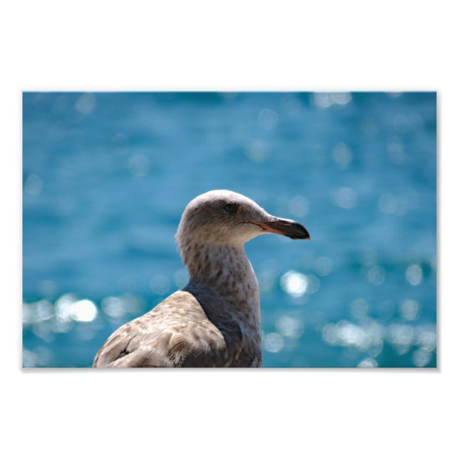 Point Dume Photo Print (Front)