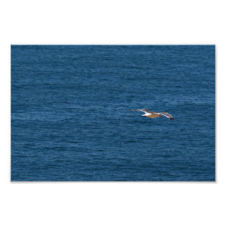 Point Dume Photo Print