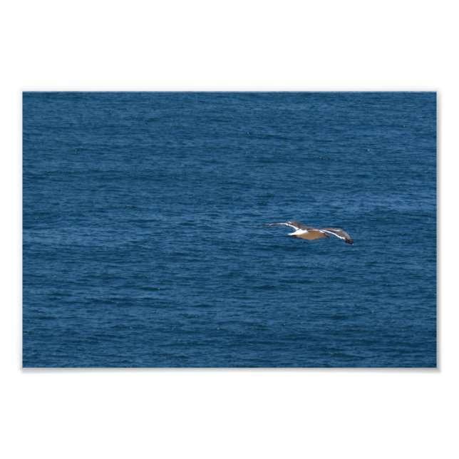 Point Dume Photo Print (Front)