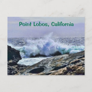 Point Lobos Central Coast California Postcard