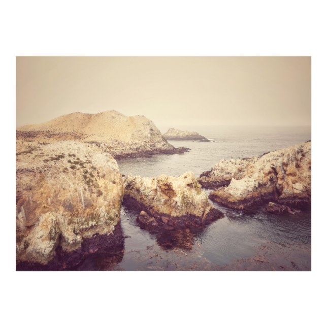 Point Lobos Coast Photo Print (Front)
