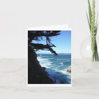 Point Lobos Letterpress Thank You Card